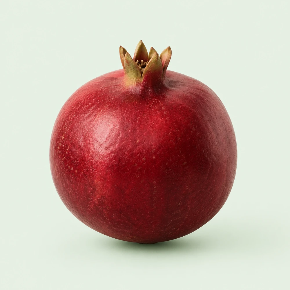 Egyptian Wonderful pomegranates for Uzbekistan — HS 081090